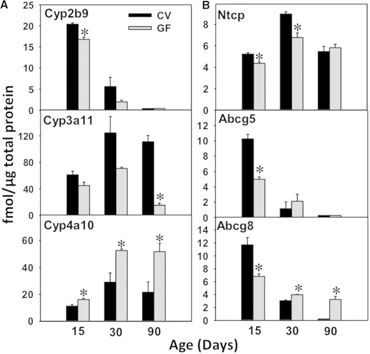 FIG. 10.