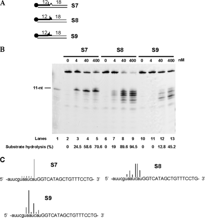 FIG. 5.