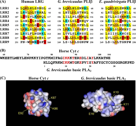 FIGURE 5.