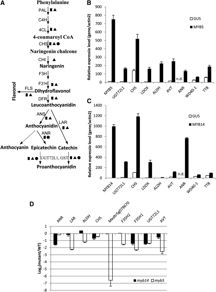 Figure 6.