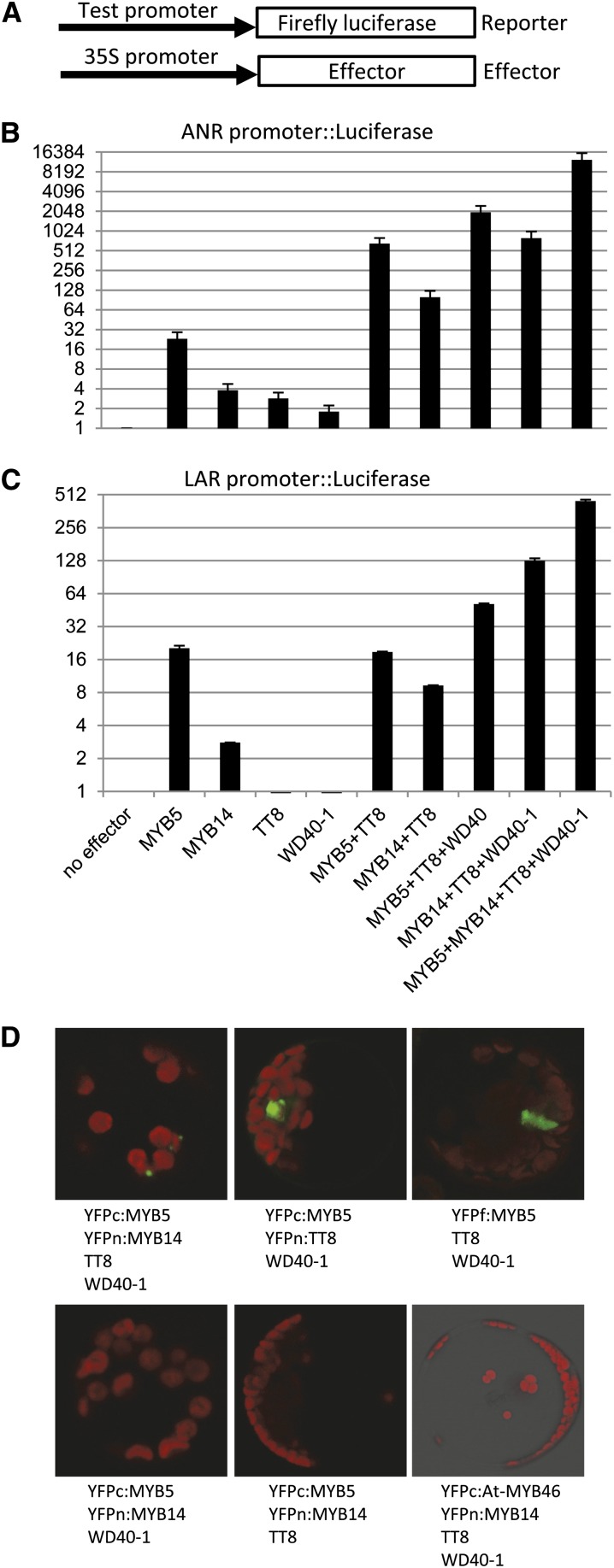 Figure 7.