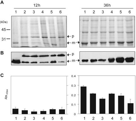 FIG. 4.