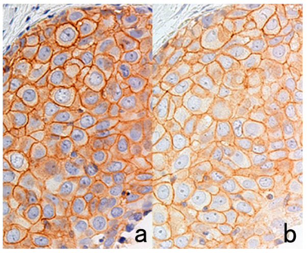 Figure 26