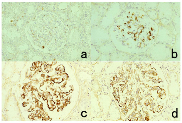 Figure 31