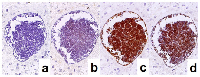 Figure 20