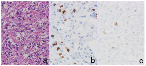 Figure 27