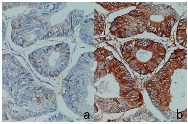 Figure 28