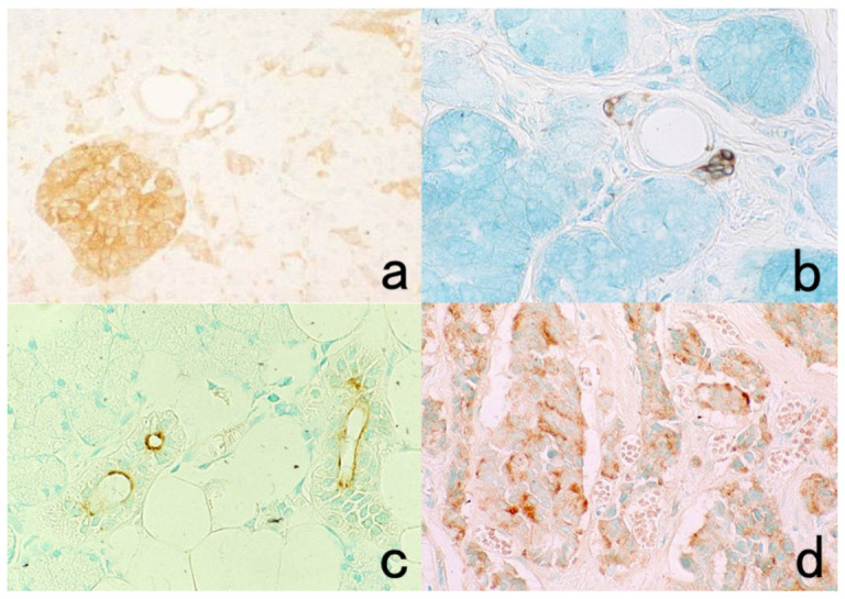 Figure 53