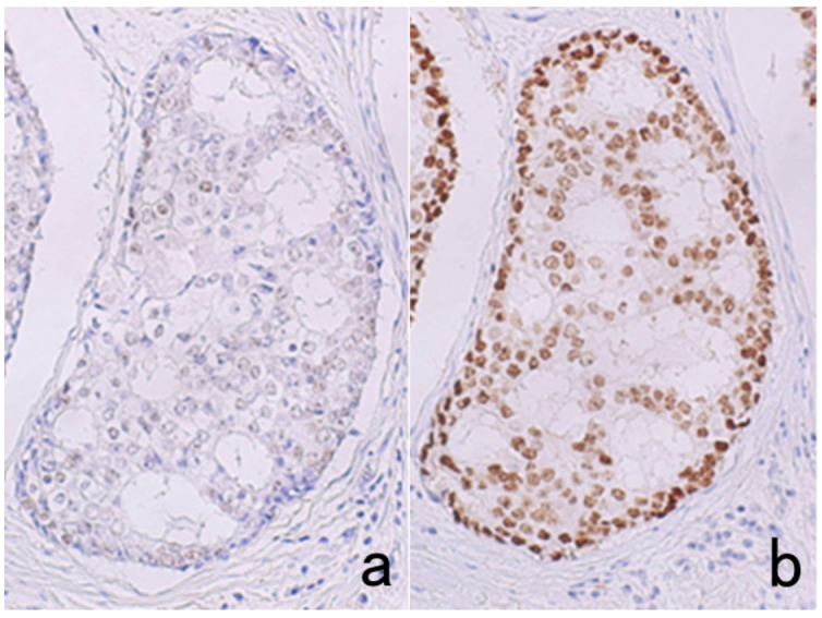 Figure 36