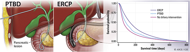 graphic file with name nihms-1769671-f0001.jpg