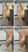Fig. 4
