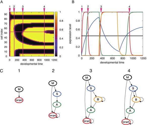 Figure 7