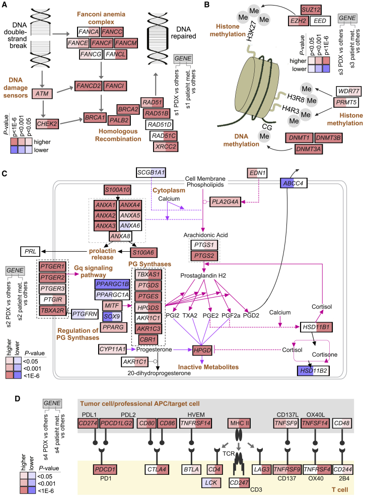 Figure 6