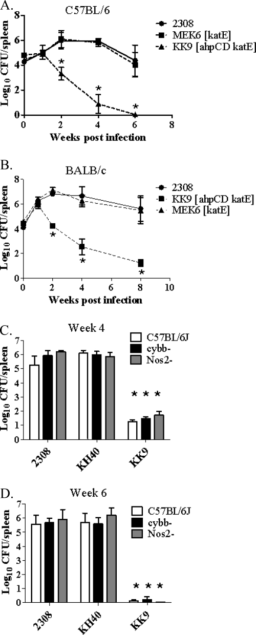 FIG. 8.