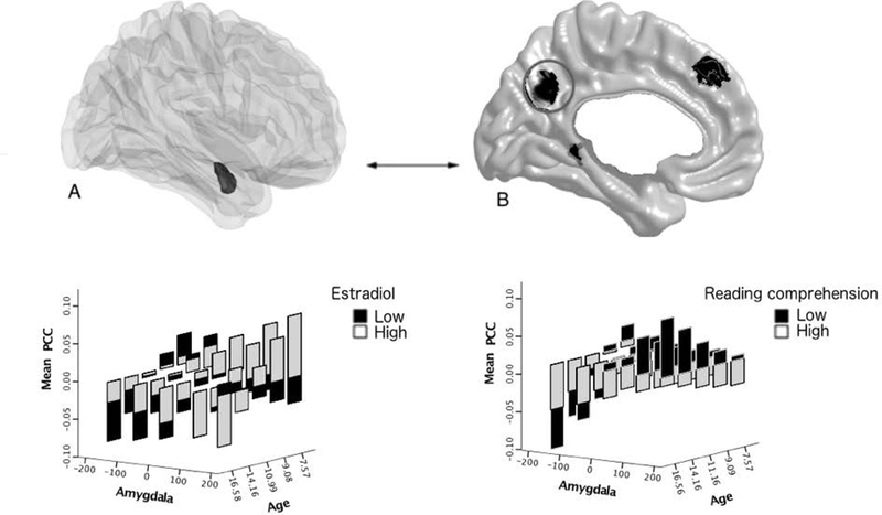 FIGURE 3.