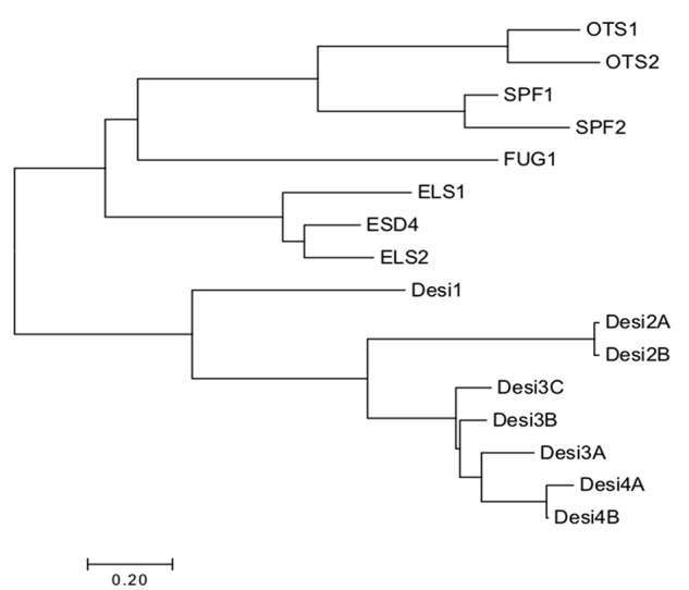 Figure 5