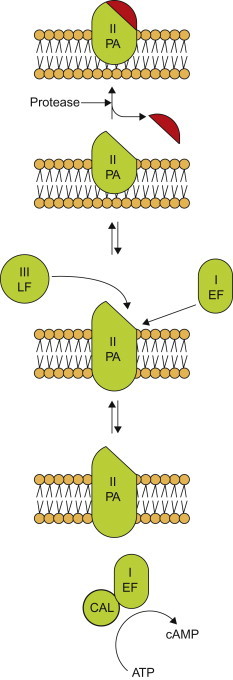 Figure 8.7