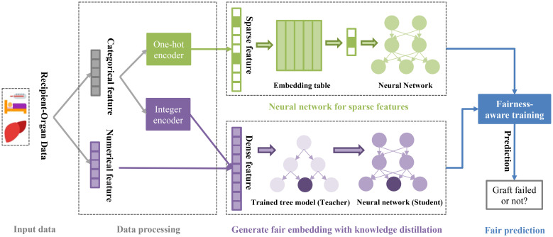 Figure 1: