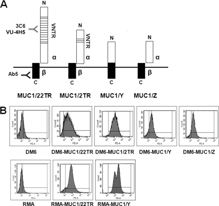 FIGURE 1.