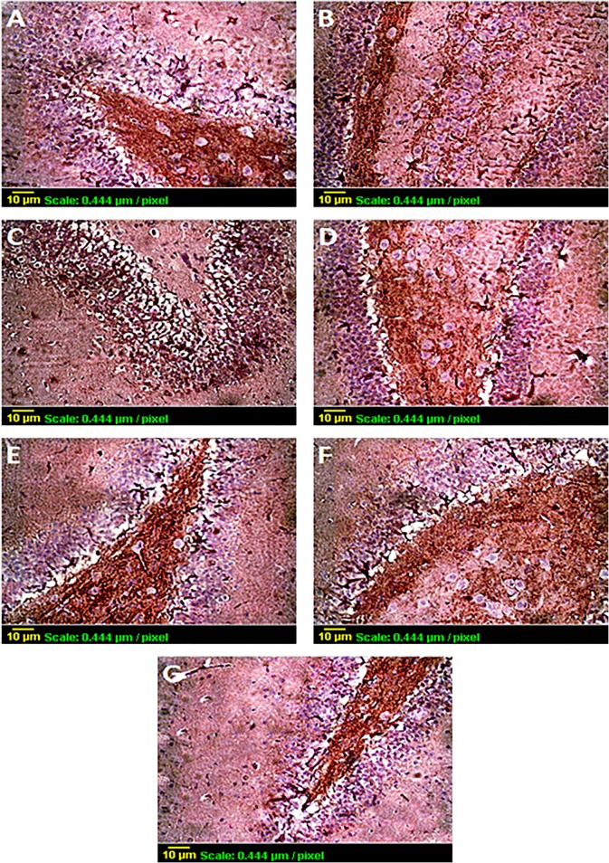 Fig 9