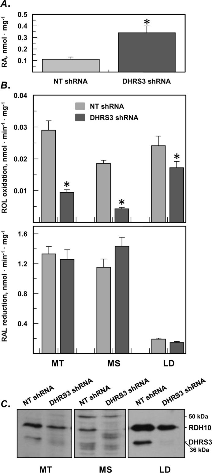 FIGURE 9.