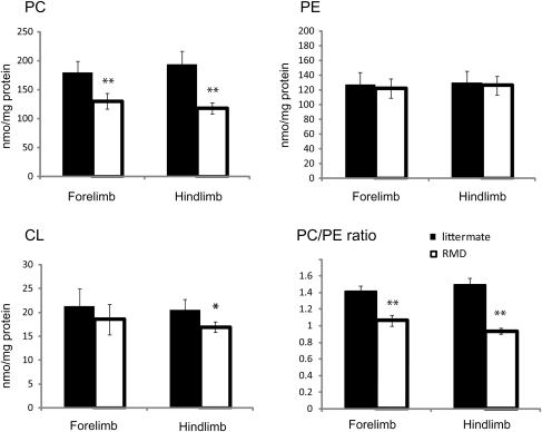 Figure 2.