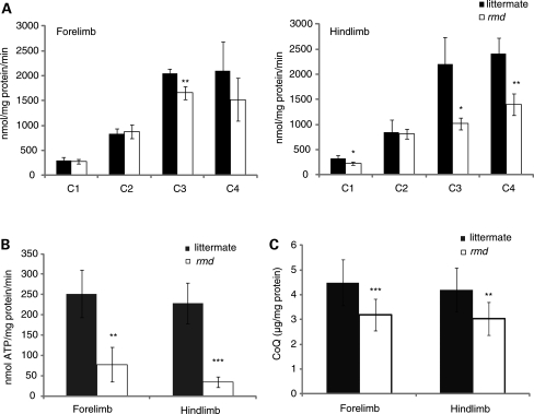 Figure 3.