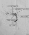 Fig. 8