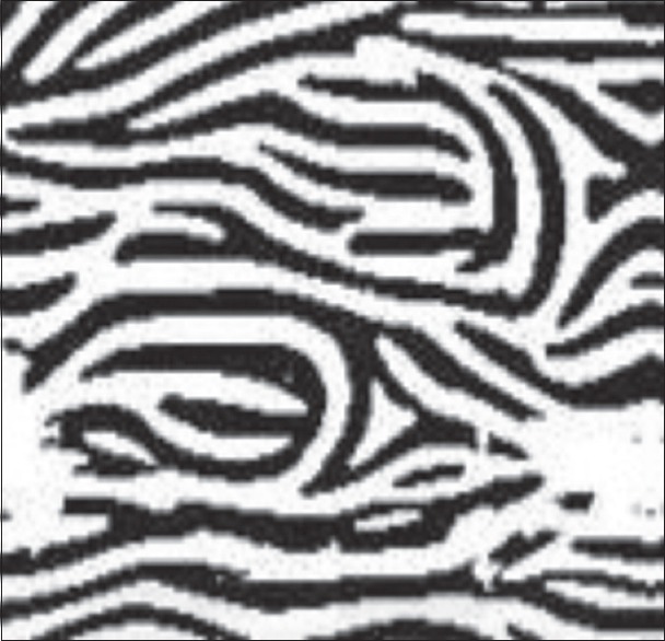Figure 8