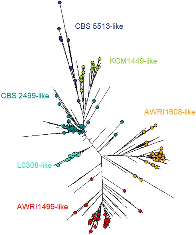 FIGURE 1