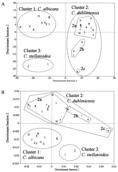 FIG. 3