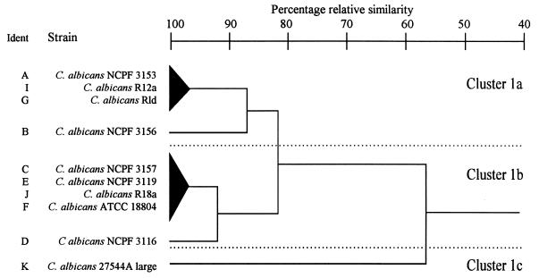 FIG. 7