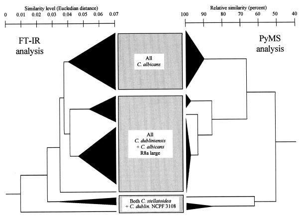 FIG. 4