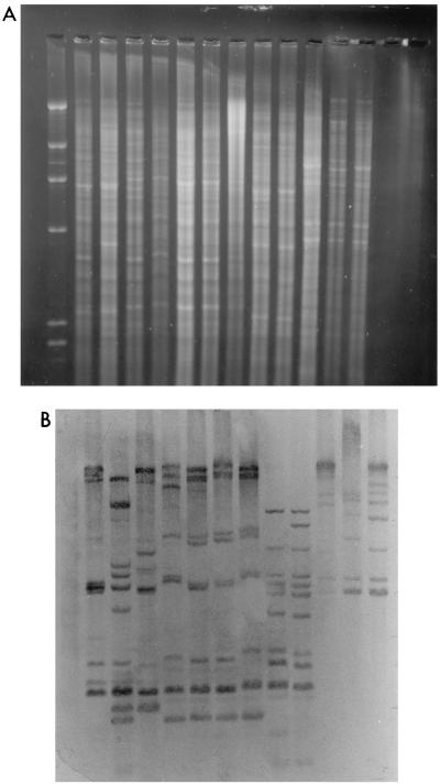 FIG. 6