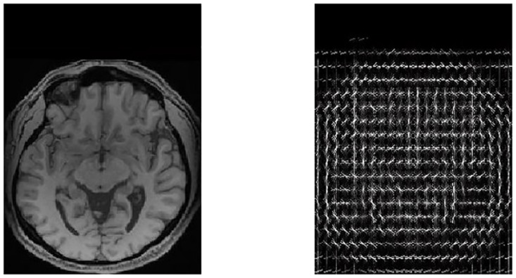 Fig 5