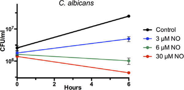 FIGURE 3