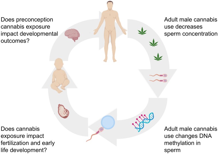 Figure 1: