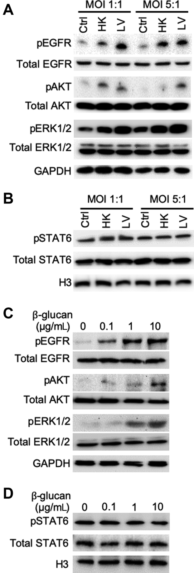 Figure 5