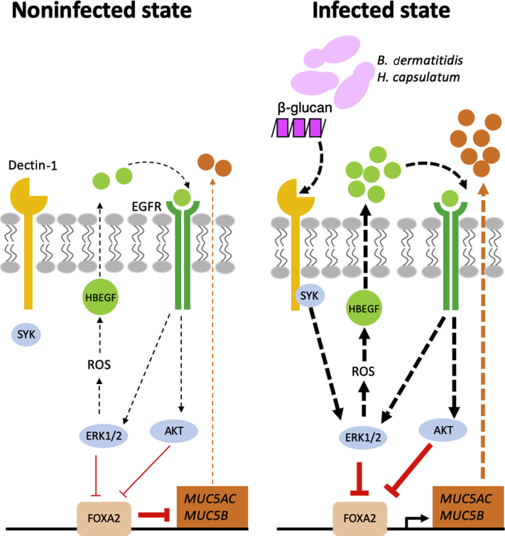 Figure 12