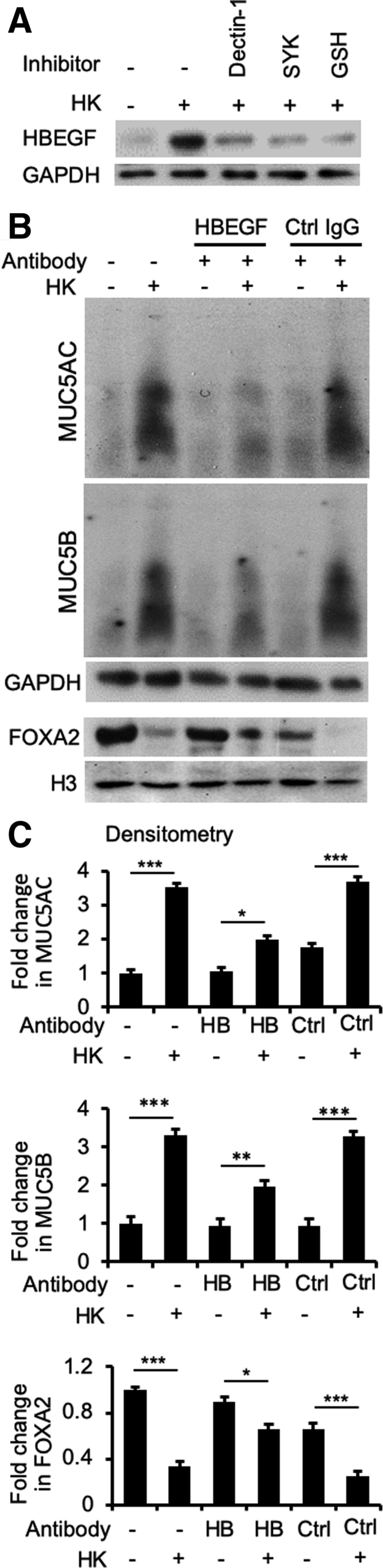 Figure 10