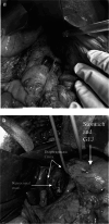 Fig. 7