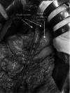 Fig. 8