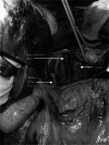 Fig. 10