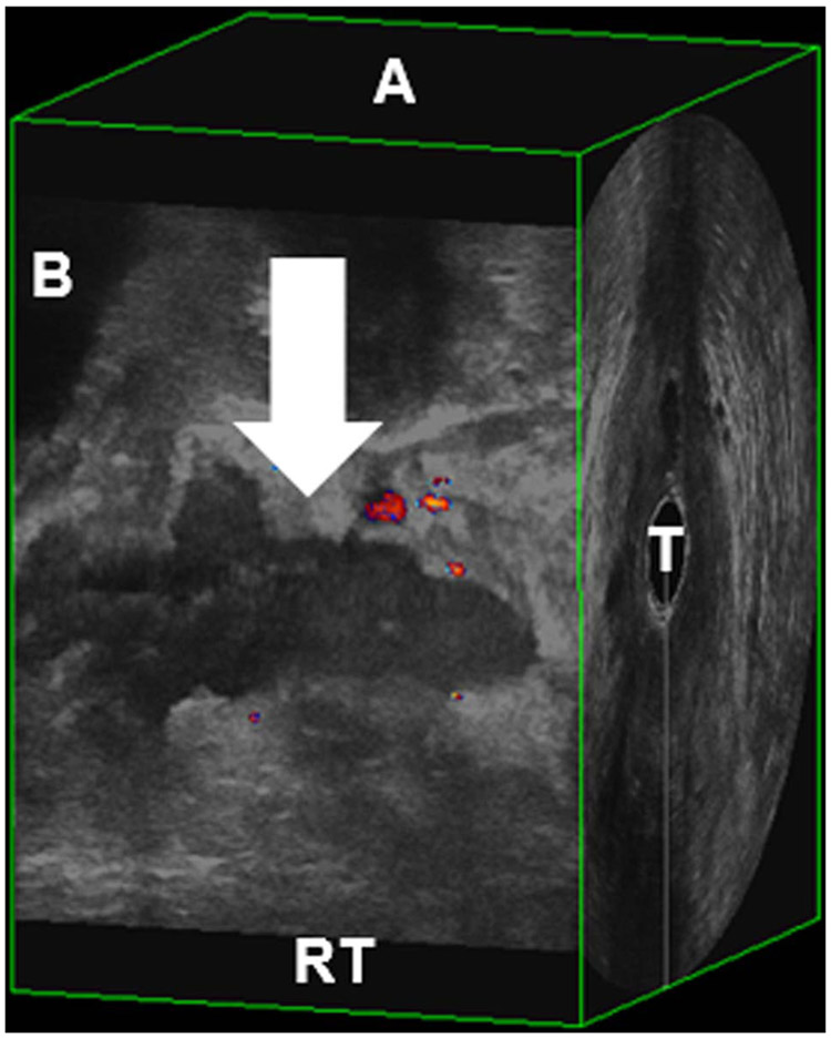 FIGURE 1.