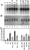 FIG. 6