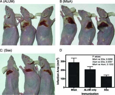 FIG. 7.