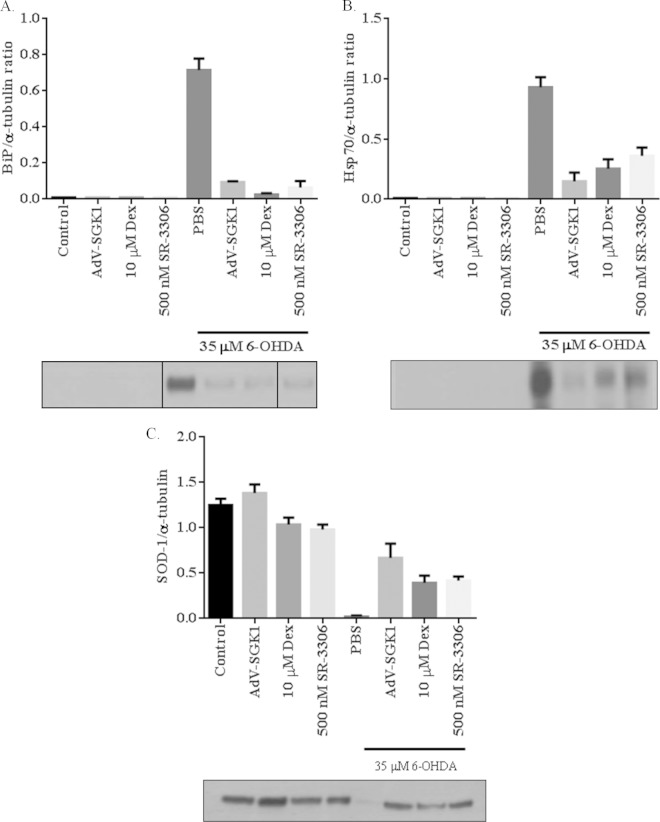 FIG 3