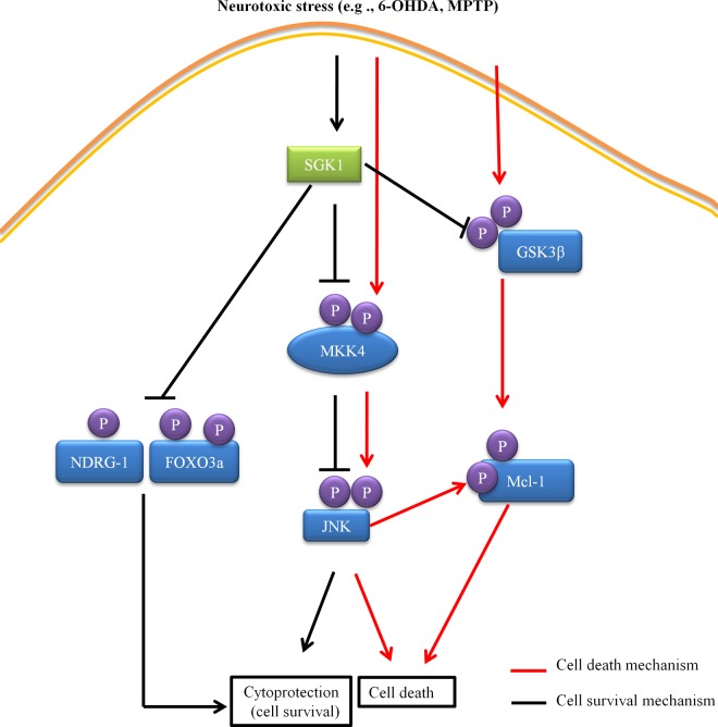 FIG 10