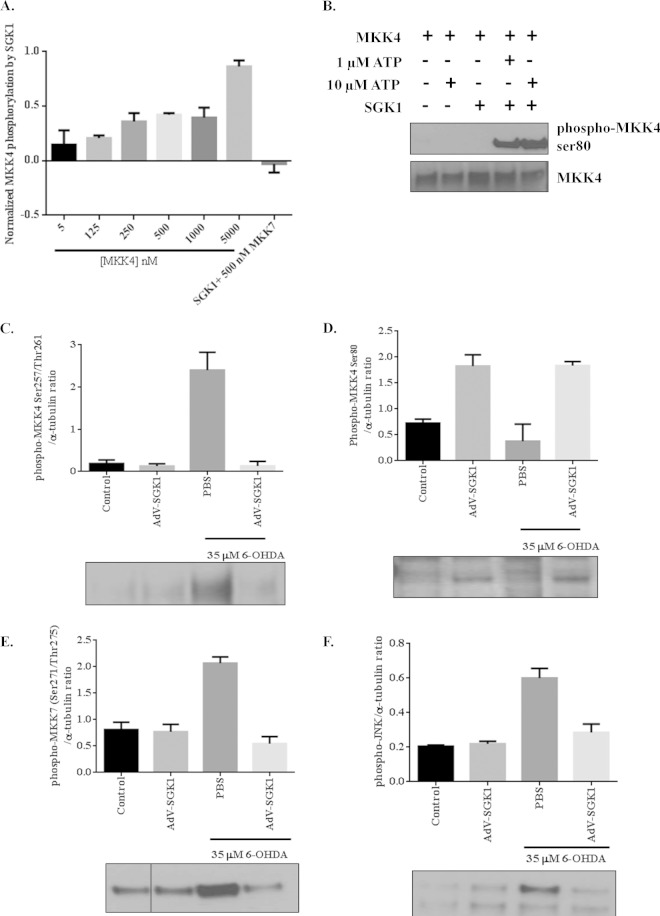 FIG 6