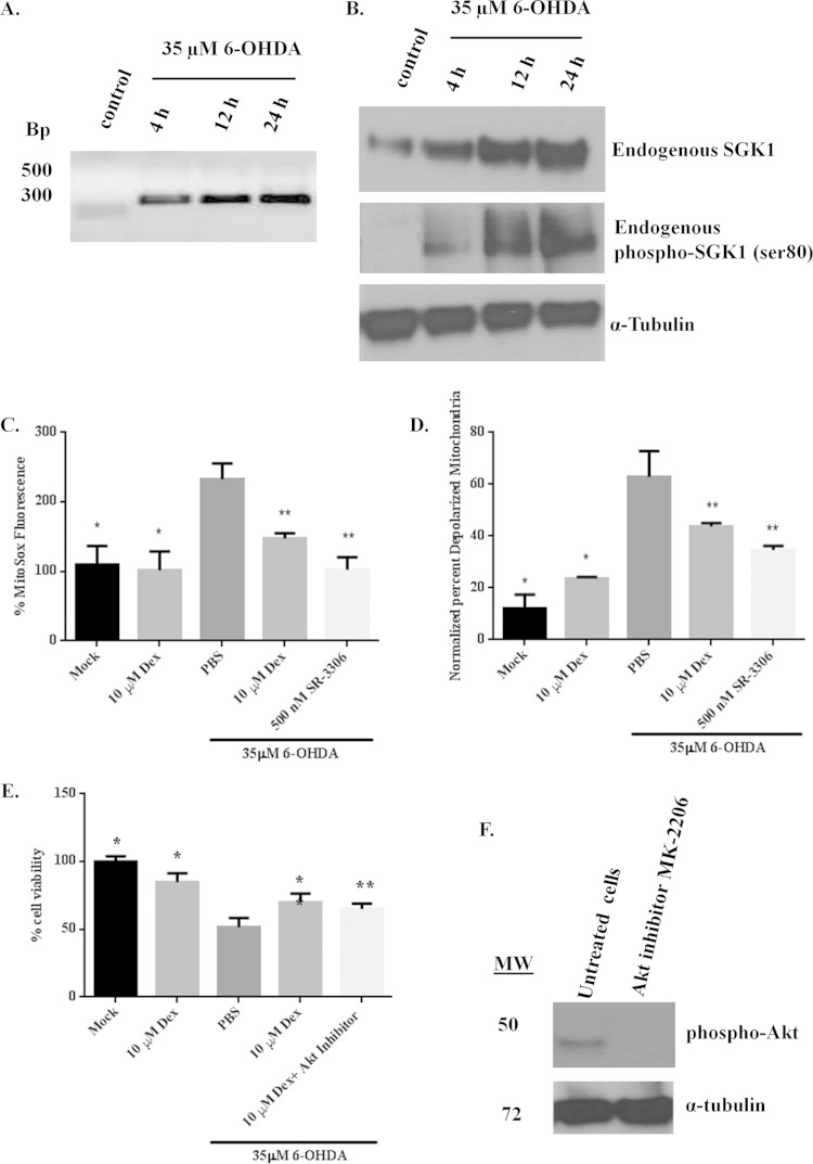 FIG 1